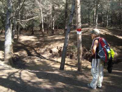 Inoltre � stata realizzata la segnaletica orizzontale: segnavia disegnati con vernice bianca e rossa su alberi...